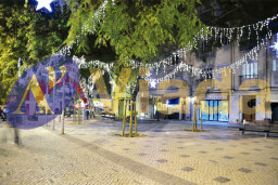 Estalactita LED 2-20m con 1m de caída