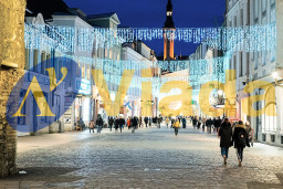 Cortina 2h.x9m de caída GWL