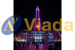 Manguera led Premium BL 50m