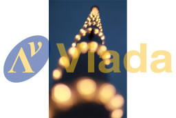 Manguera led Premium GL 50m