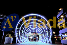 Manguera led Premium RL 50m