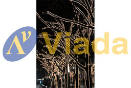 Manguera led Premium RL 50m