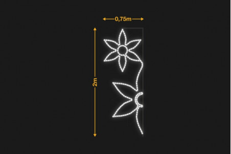 Flor de pascua 0,75x2m