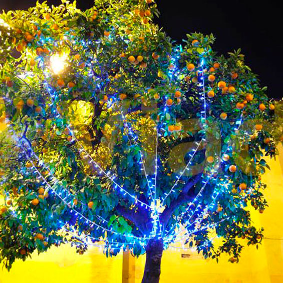 Guirnaldas de Navidad y Luces LED para esa época del año
