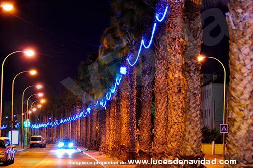 Iluminación navideña sostenida en palmeras