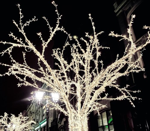 decorar arbol exterior luces