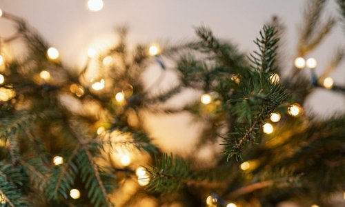 luces led navidad eco