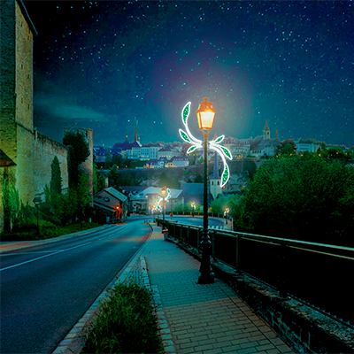 Medio Ramo de Laurel IBM1718