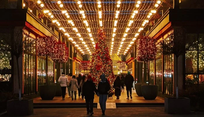 iluminacion hotel navidad entrada